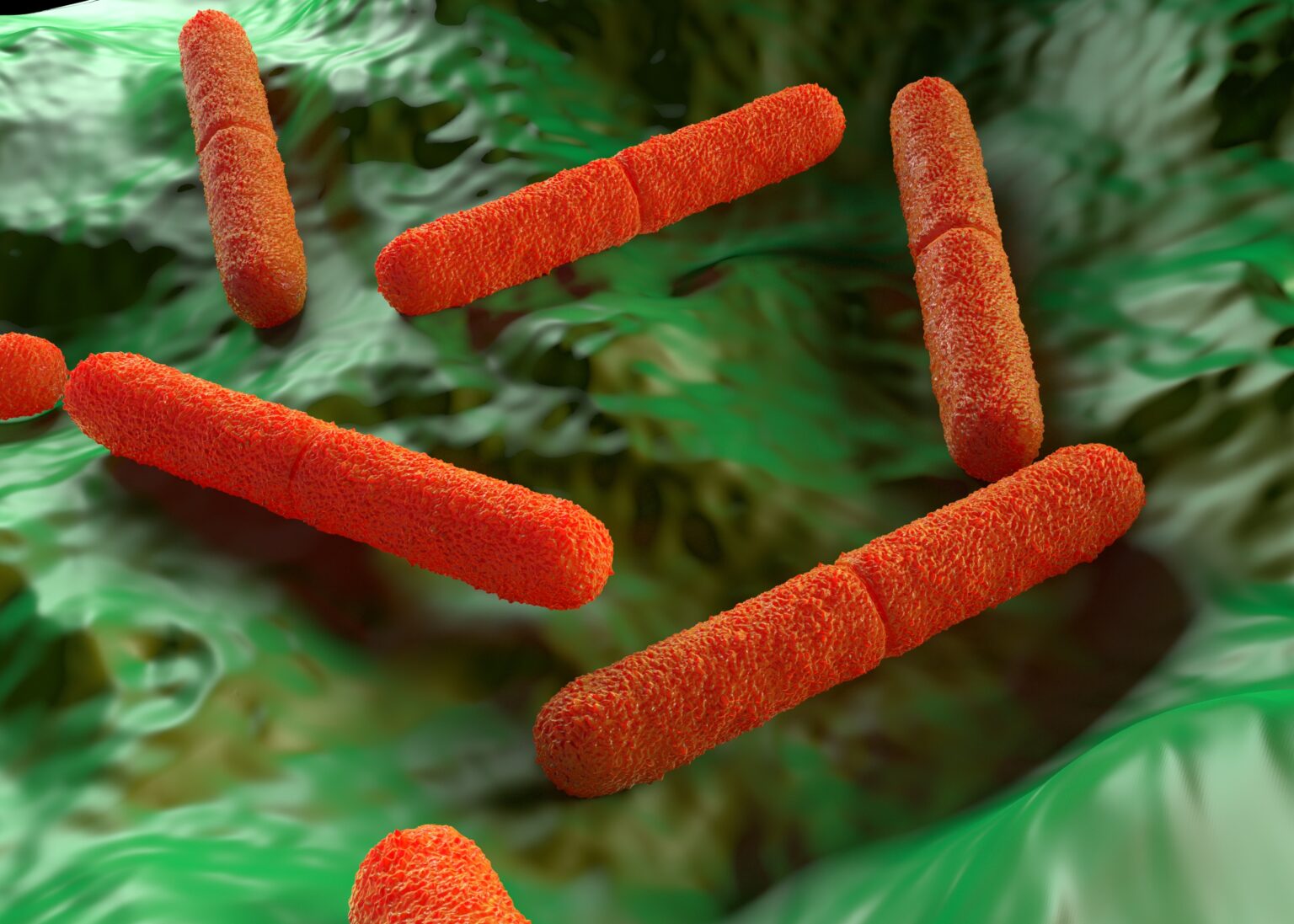 CLOSTRIDIUM BOTULINUM E A INDÚSTRIA DE ALIMENTOS